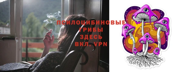 МДПВ Кукмор