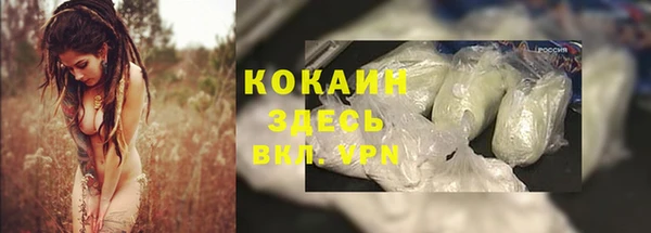 МДПВ Кукмор