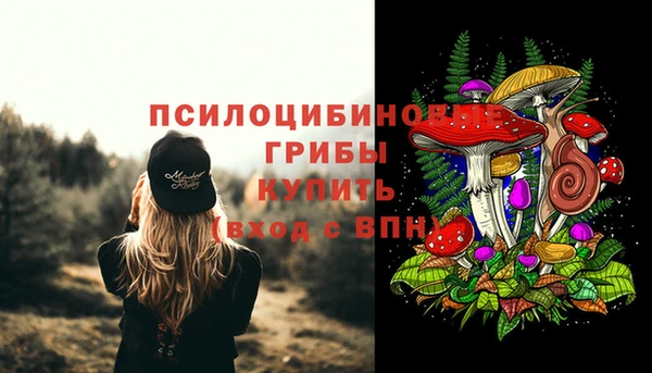 МДПВ Кукмор