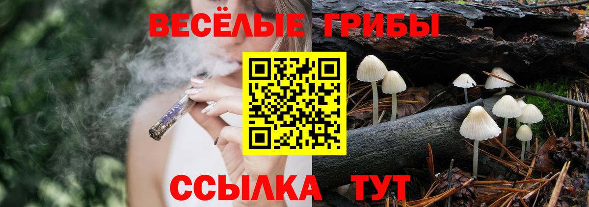 Псилоцибиновые грибы Psilocybine cubensis  продажа наркотиков  Кемерово  Вход с VPN 