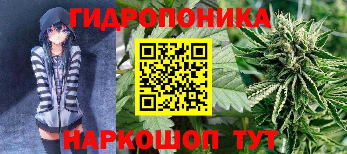 Бошки Шишки планчик Кемерово